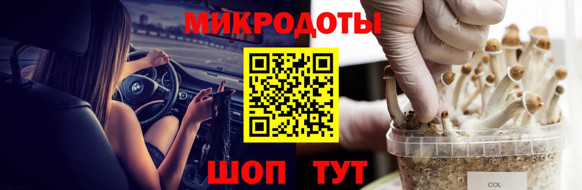 Майкоп  Галлюциногенные грибы Psilocybe  купить наркотик  Вход с VPN  Псилоцибиновые грибы прущие грибы 